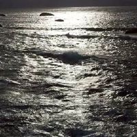 大航海