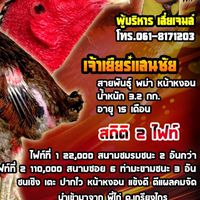 ซุ้มมะขามเฒ่า ราชบุรี