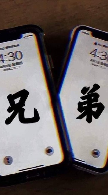 小狼崽崽