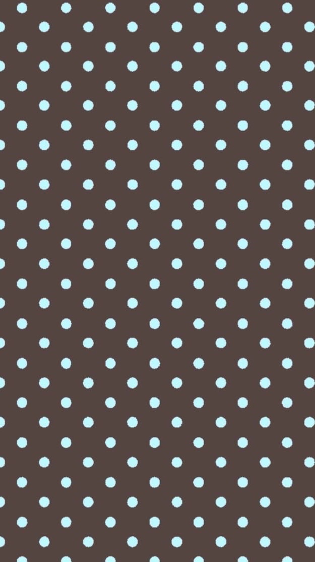 ขายสกุชชี่