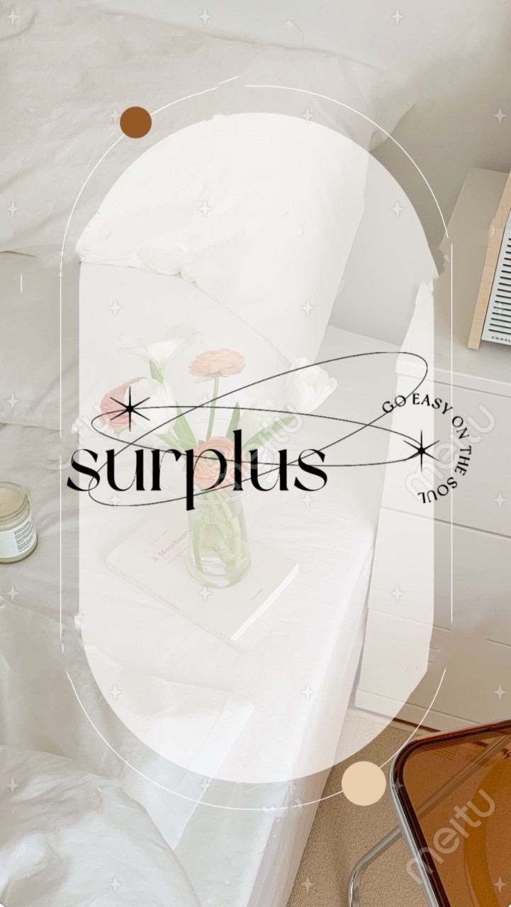 surplu_store
