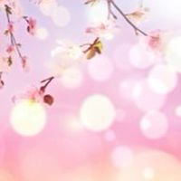 🌸精神疾患のあるお母さん🌸