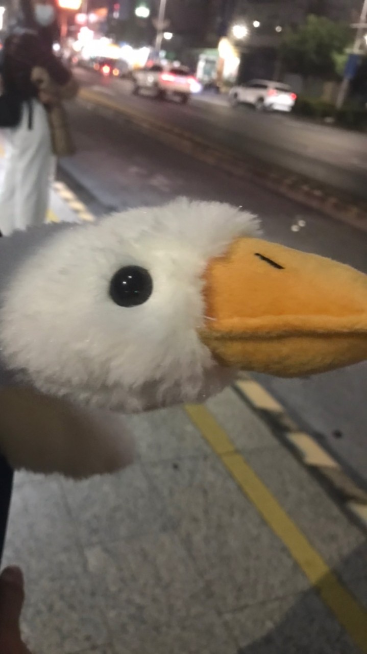 老鐵們動起來