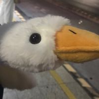 老鐵們動起來