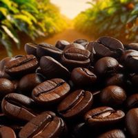 Senbon coffee 咖啡