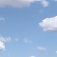 我愛開元302