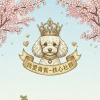 我❤️貴賓🐩🐩