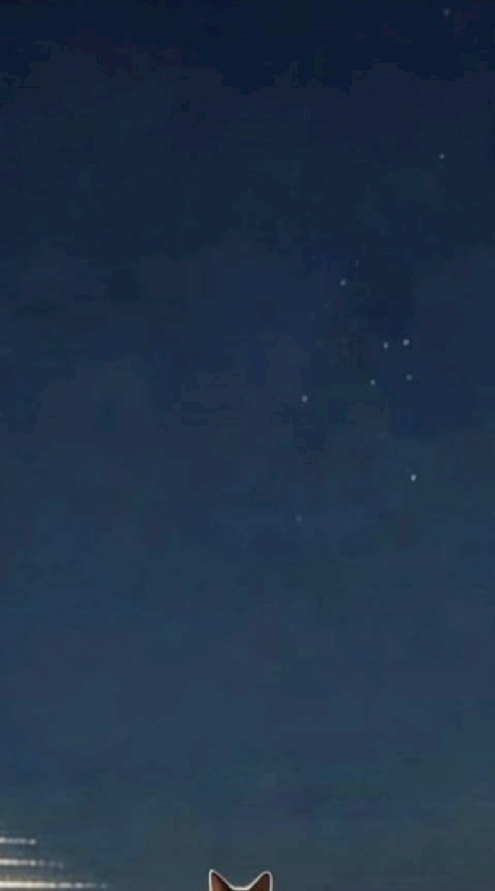 115.4.10智Tango錦安