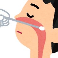 Bスポット・EAT・上咽頭擦過療法