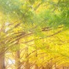 この恋が終わるまで