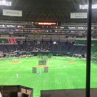プロ野球ttm
