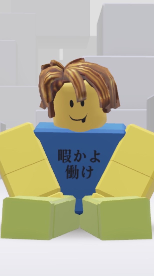 ロブロのオプチャ