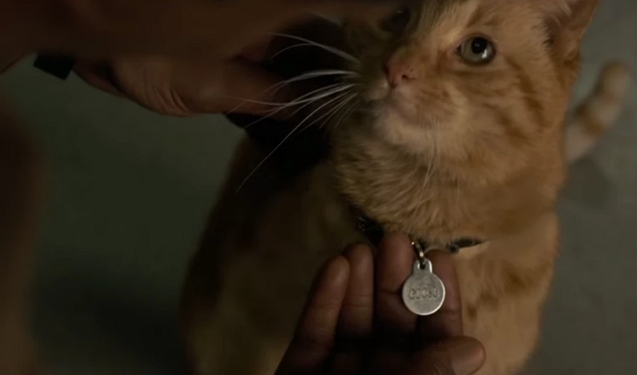 《蜘蛛人：離家日》戲院海報將眼罩戴錯邊，山繆傑克森：？？？