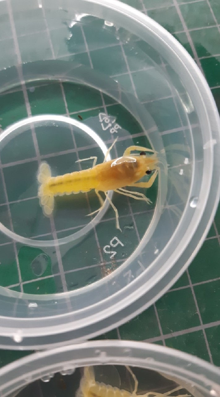 夜宇水族工作室