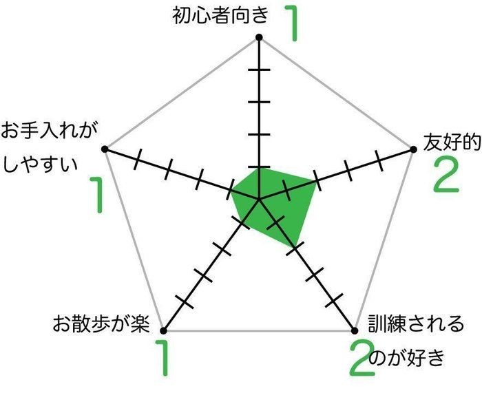 ブービエ デ フランダースの特徴と性格 飼い方