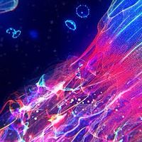 ココだけのAfter Effects