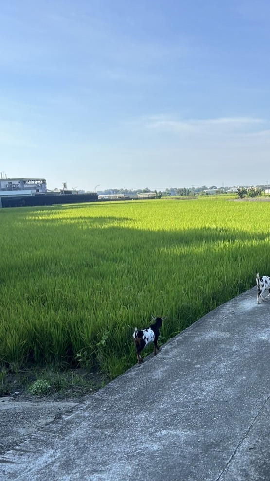 小簡的質感生活