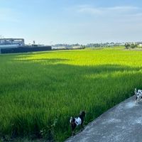 小簡的質感生活
