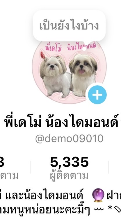 แจ้งเลขพัสดุ เสื้อผ้ามือ 2 katae