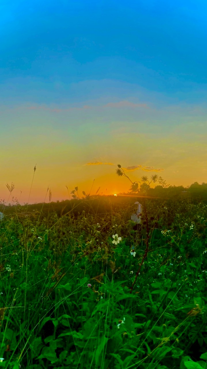 ป้ายยาของถูกในชอปปี้ลาซาด้า