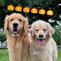 六七八生活分享