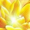 觀世音菩薩心靈法門