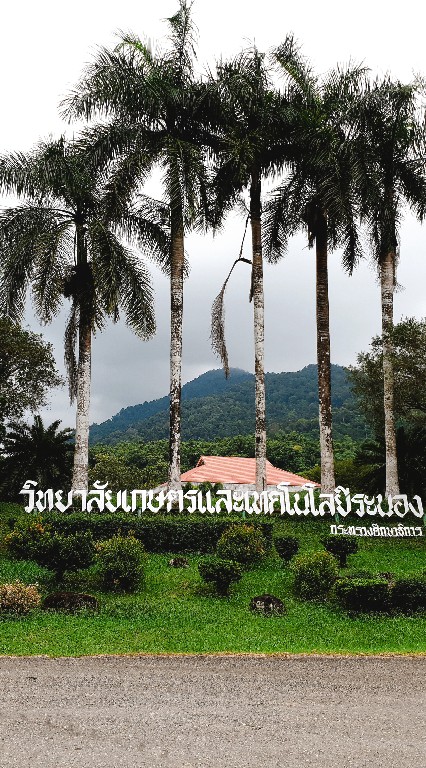เกษตรระนอง(RCAT)