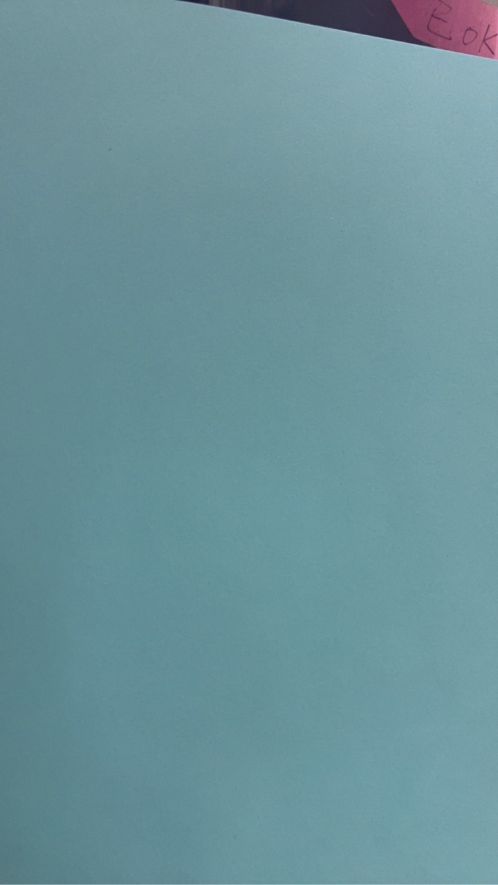 111僑光海豚班