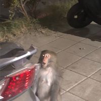 北南區匿名迎新茶會群