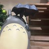 新銳培訓11401期