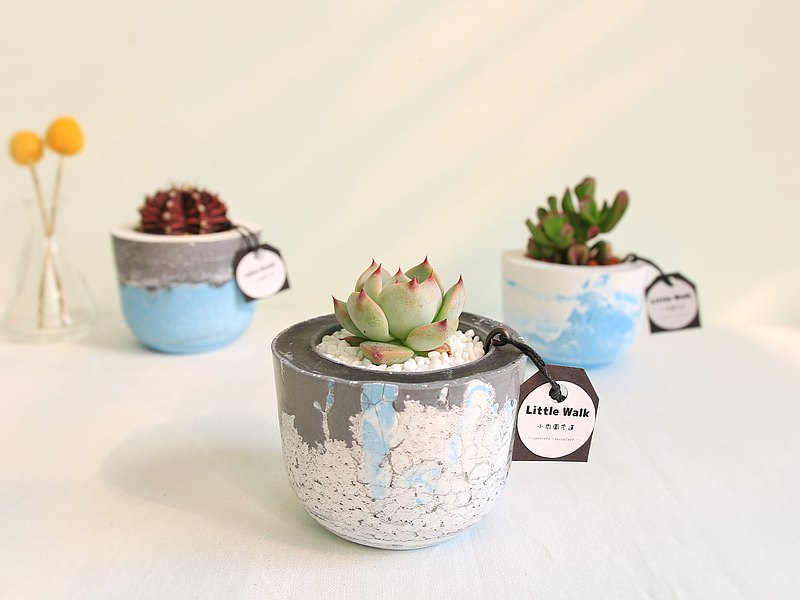 美麗嬌貴的吉娃娃，就是要來一杯療癒人心的好茶?運用微裂的痕跡，配上互補色彩，創造出專屬你的日系茶，想受泥的生活態度。