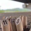 第3回STE GAMES モルック体験会&ミニ大会