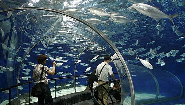 什麼 夏天你還沒去海邊 那就去水族館吧 帶你看世界10大最美水族館 妞新聞 Line Today