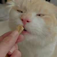 逆水寒結義