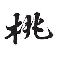 醫*桃園:地產+私校+美食