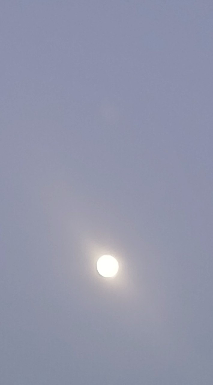 友達関係相談会