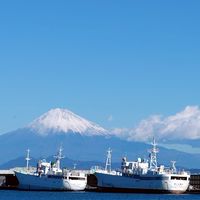 9町内会 電子回覧板