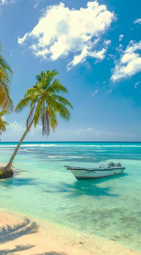 ทะเล🏖️(รร.ชินาโตะ)