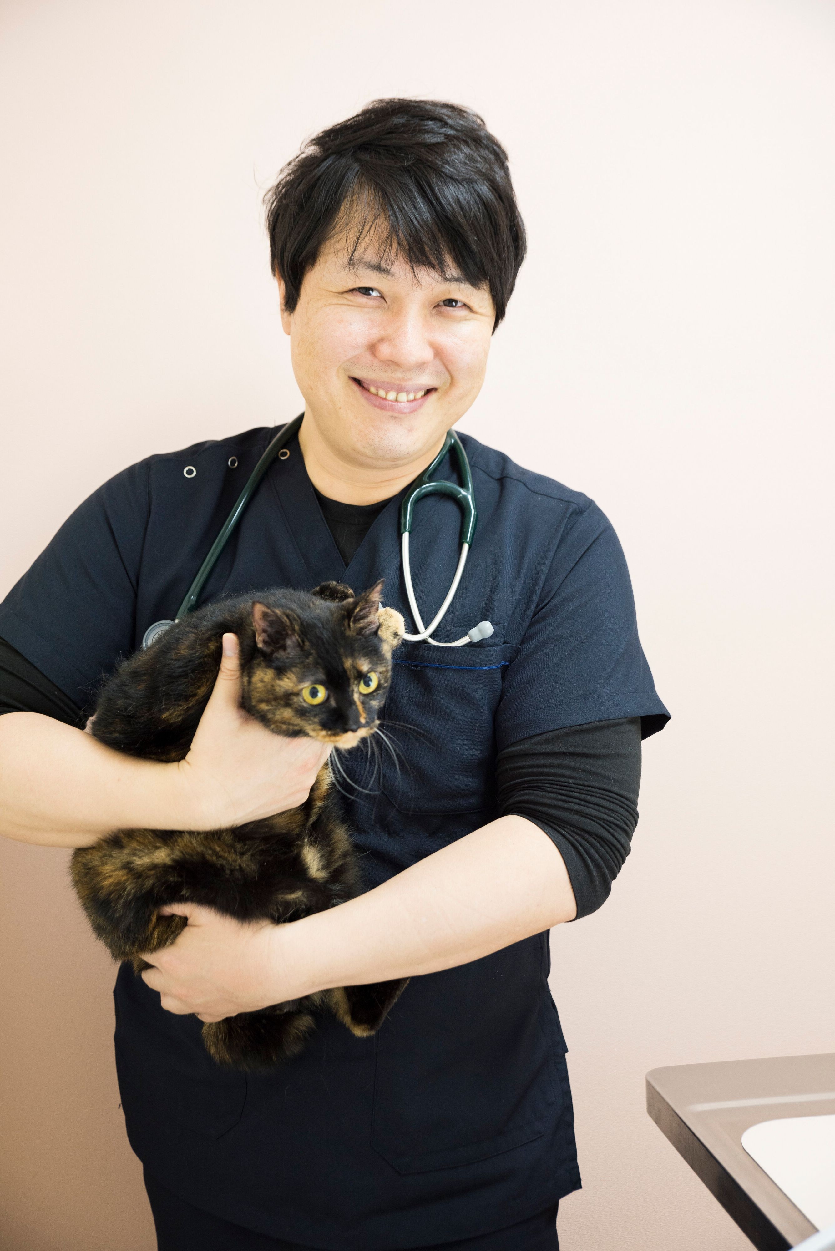 猫の眠り方がサイン 体調不良のときに見られる眠り方４つ ねこのきもちnews