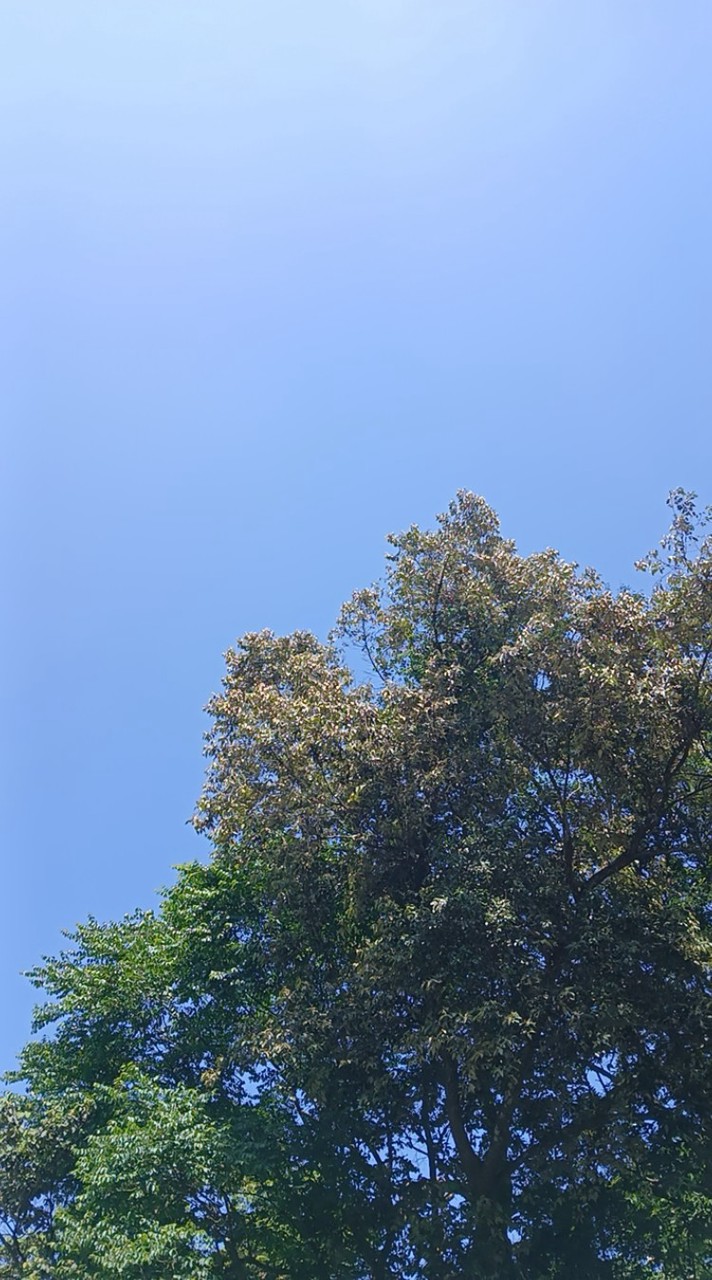 學生日常｜“笑”園發電廠