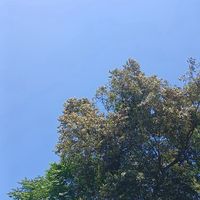 學生日常｜“笑”園發電廠
