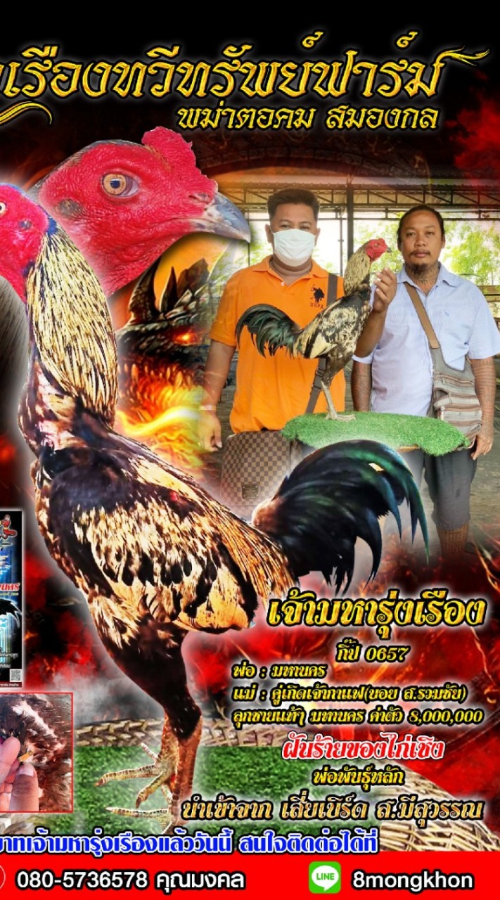 รุ่งเรืองทวีทรัพย์ฟาร์ม ส.มีสุวรรณ พม่าตอคม ชลบุรี 0805736578