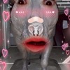 บูชาหมูเด้ง