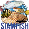 ซื้อ-ขายปลาแปลก ปลาหายาก Exotic fish/Siamfish Aqua