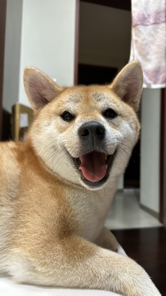 AI賦能百業
