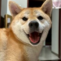AI賦能百業