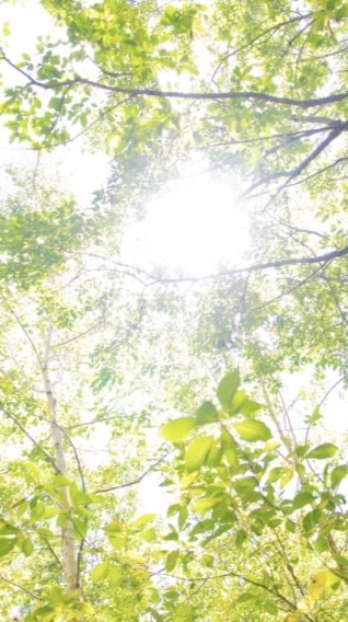 心のデトックス部屋🍀             潜在意識・感情解放・心身の整え方