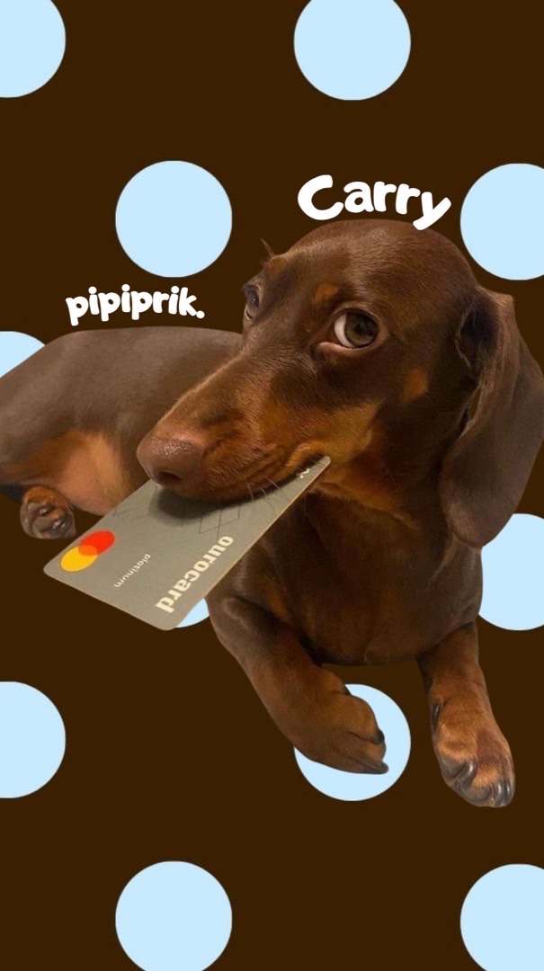 pipiprik.carry