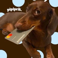 pipiprik.carry