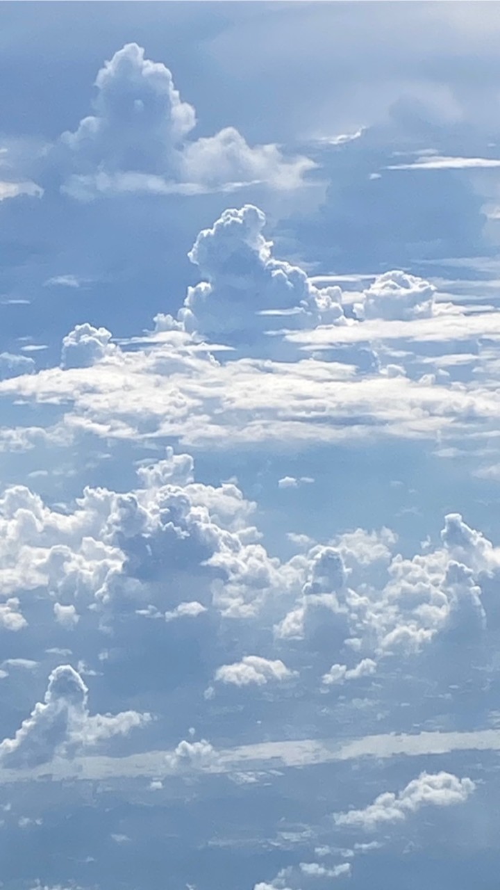 小青